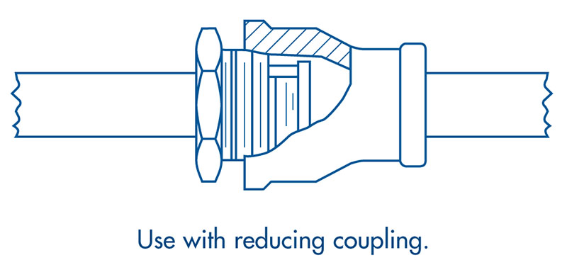 DFT ½" 316 SS BSS Style Basic-Check Threaded In-Line Check Valve