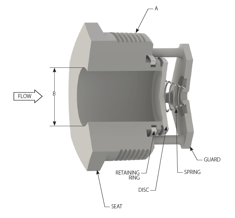 1" BSSV Basic Check Vacuum Breaker, Vents to Atmosphere | DFT