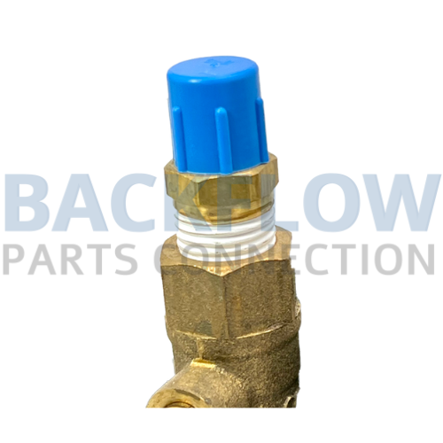 Arbiter 1/4" Plastic Plugs for Test Cocks (50 count) 