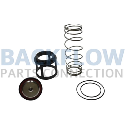 Ames/Watts 2" 400B/919 2nd Check Assembly