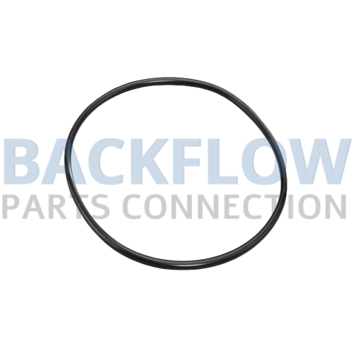 Ames 8-10" Check Module O-Ring 