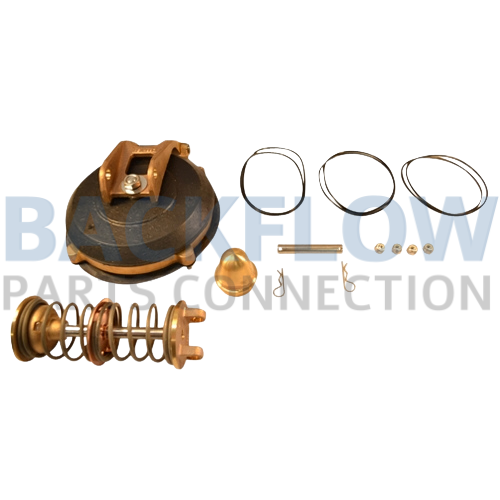 Febco 10" 870 1st or 2nd Check Assembly